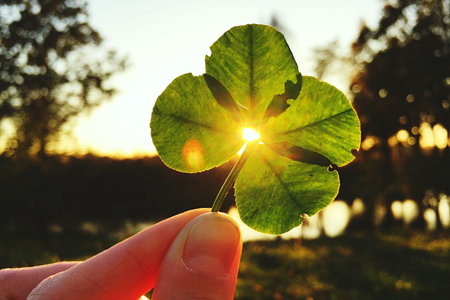 Luck Ritual